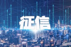 <b>国内头部征信机构也正在积极谋求“走出去</b>